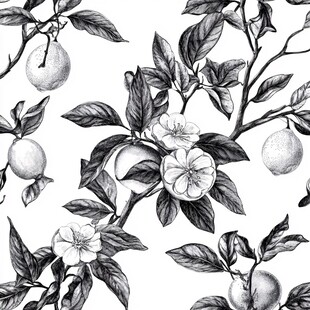 黑白手绘柠檬花枝图案
