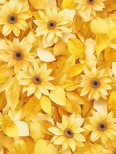 金黄花朵与叶片美丽图景