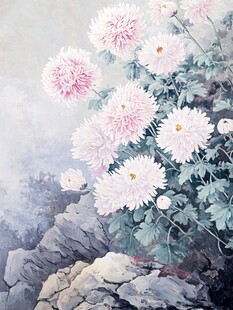 石畔绽放的雅致粉白菊花