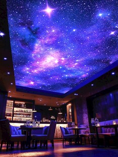 梦幻星空主题室内餐厅