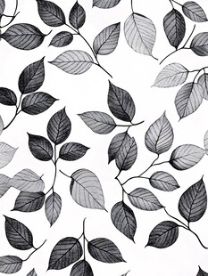 黑白树叶图案纹理背景