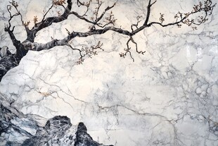 水墨树枝山石背景图