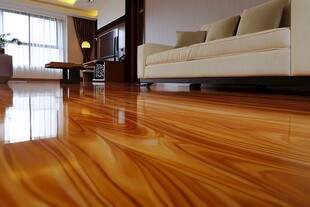 现代简约风格客厅木地板