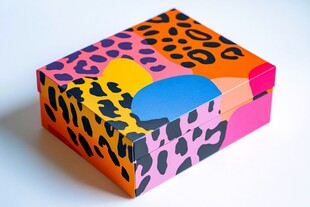 多彩豹纹图案装饰盒