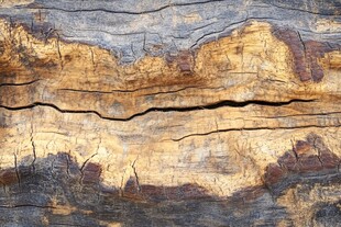 斑驳木纹 岁月痕迹