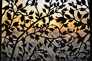 叶影绰约间的黄昏景致