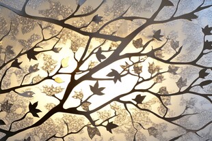 树枝飞鸟光影艺术画面