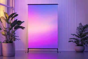 梦幻渐变背景与绿植组合