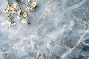 蓝灰大理石上的素雅白花