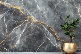 灰金大理石墙搭配绿植摆件