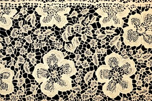 精致白色蕾丝花纹图案