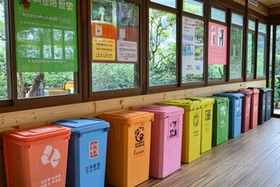 多彩垃圾桶排列的室内场景