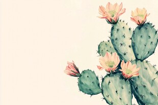 绽放的仙人掌花朵插画