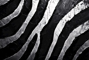 黑白斑马纹纹理背景图