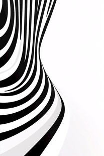 黑白条纹抽象动感图案