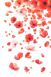 飘落的艳丽红色花朵画面