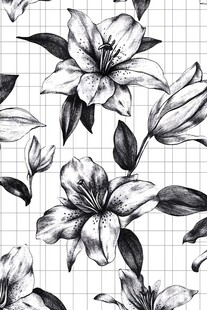 黑白手绘百合花卉图案