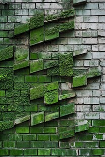 青苔覆盖的斑驳砖墙