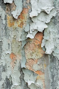 剥落的墙面纹理