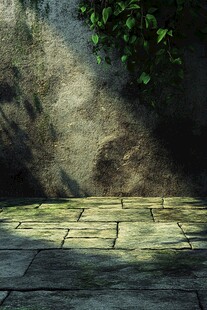 斑驳石墙下的绿意石板路