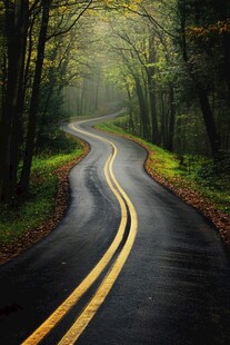 秋日迷雾中的蜿蜒林间公路