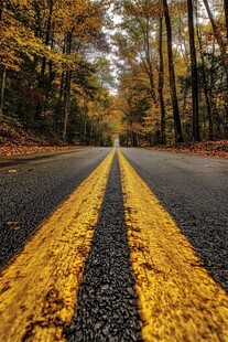 秋日林间公路的斑斓景致