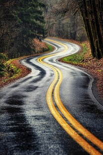 蜿蜒湿路穿行于树林间