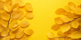 金黄秋叶装点明亮背景