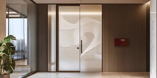 现代简约风格玻璃双开门