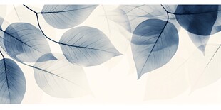 蓝叶飘影 淡雅自然背景图