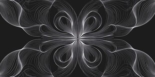 黑白线条构成的抽象艺术图案