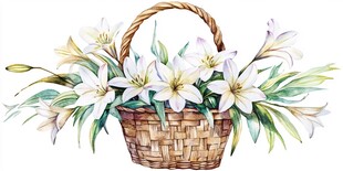 水彩绘花篮中的美丽百合花
