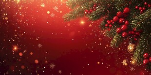 圣诞红背景的松枝浆果装饰