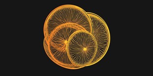 橙片光影艺术图
