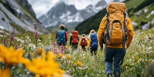 徒步者穿行于山间花海