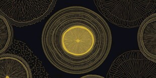 柠檬线条艺术图案背景