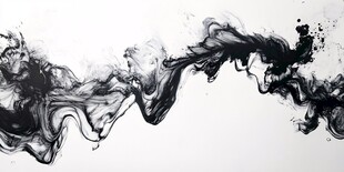 水墨舞动 黑白灵动之美