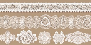 精美蕾丝花卉图案集合