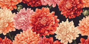 多彩大丽花图案背景