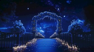 梦幻星空下的浪漫婚礼通道