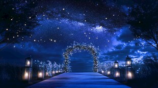 梦幻星空下的浪漫婚礼通道