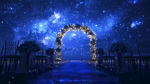 梦幻星空下的浪漫婚礼通道