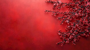 红梅映红背景春意浓