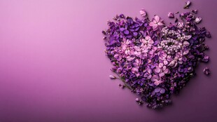 紫色心形花瓣浪漫构图