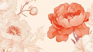 淡粉橘色牡丹花卉插画