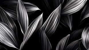 黑白叶片抽象纹理图案