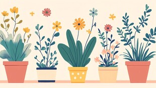 多彩盆栽装点温馨小角落