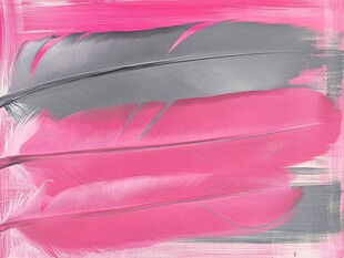 粉色灰调羽毛抽象艺术画