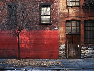 红墙旧门旁的萧瑟孤树