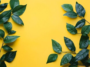 黄底绿叶清新装饰画面
